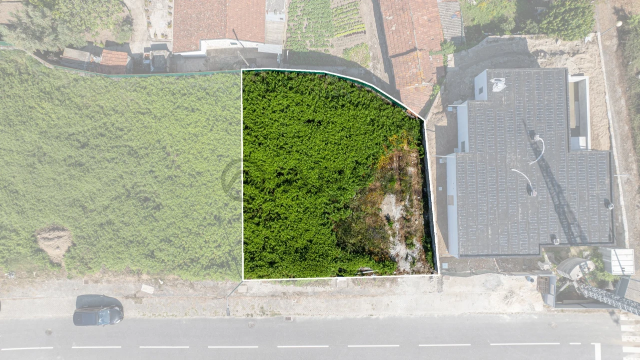 Terreno para Venda em Ruivães e Novais Foto 16