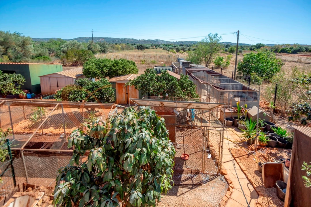 Moradia T4 para Venda em Paderne Foto 33