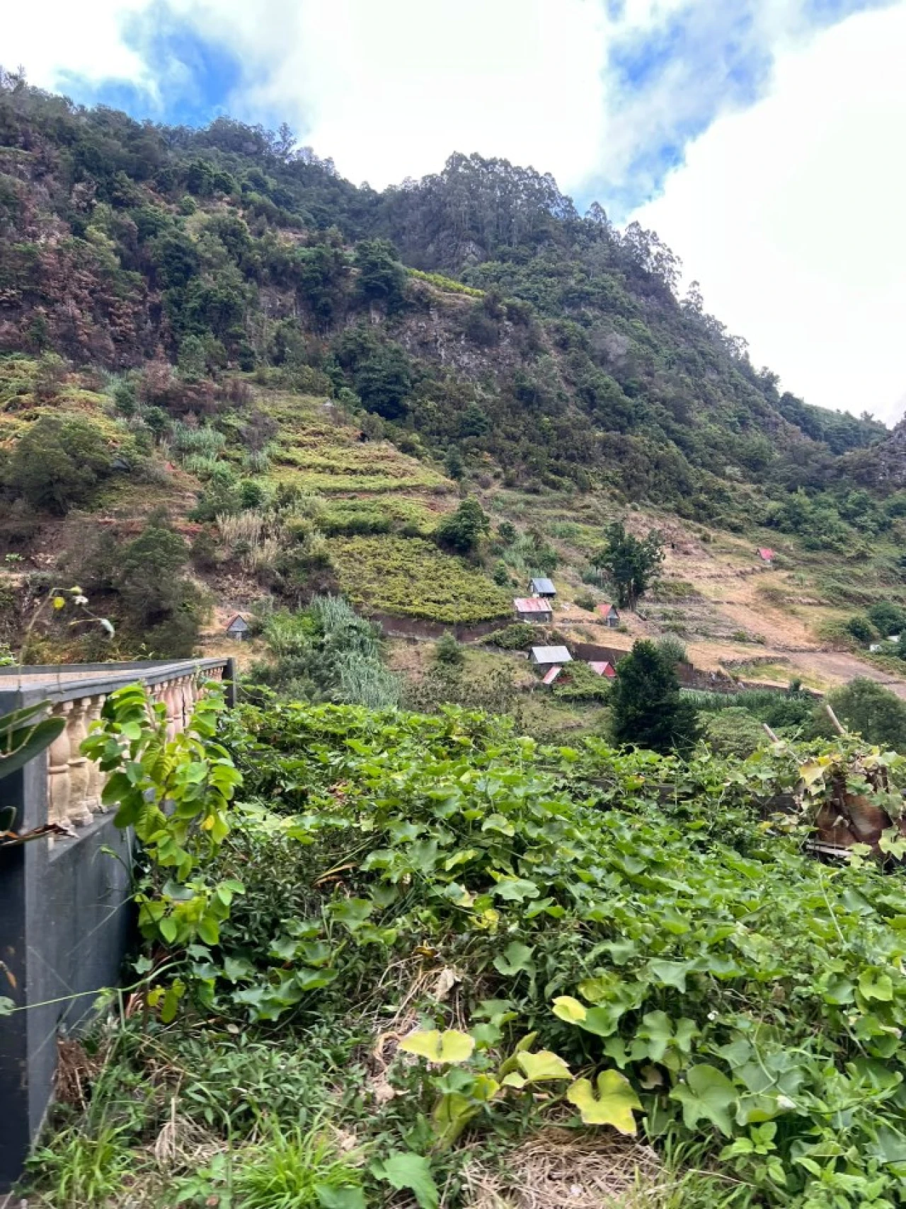 Terreno para Venda em Faial Foto 1