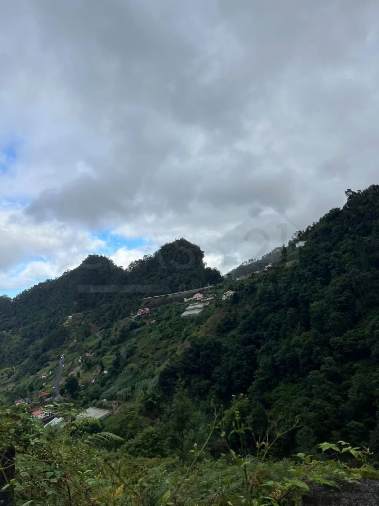 Terreno para Venda em Faial Foto 6