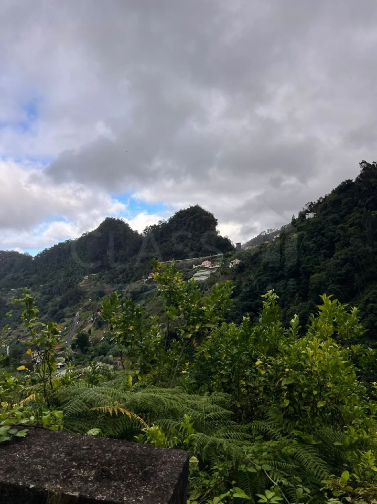 Terreno para Venda em Faial Foto 8