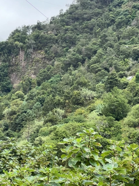 Terreno para Venda em Faial