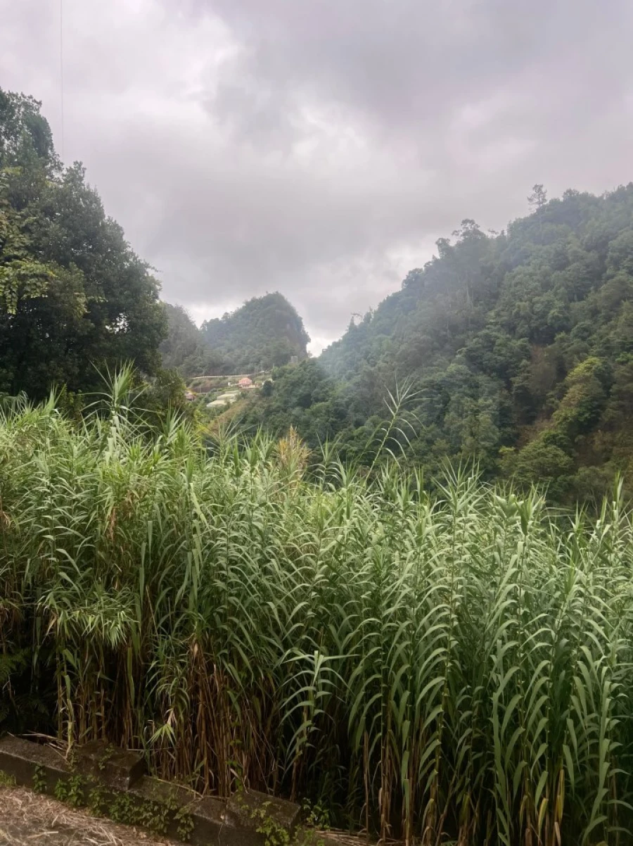 Terreno para Venda em Faial Foto 9