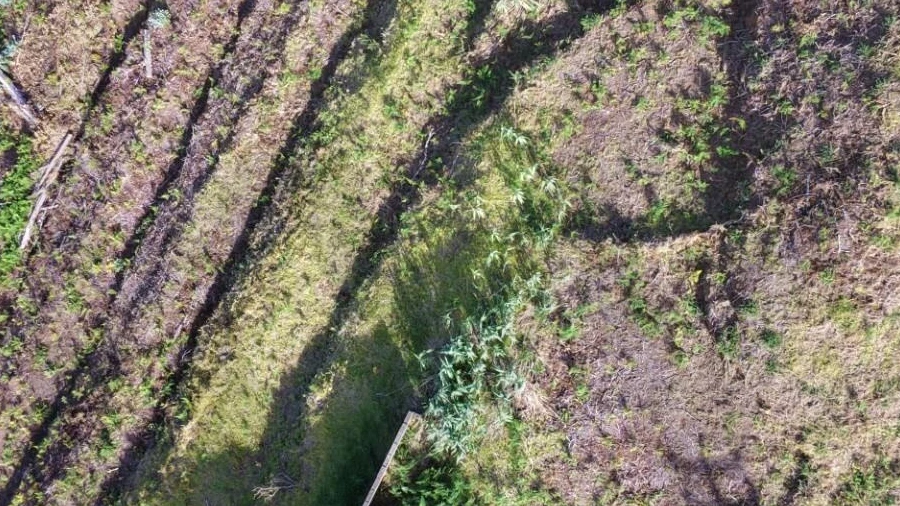 Terreno para Venda em Ponta do Pargo