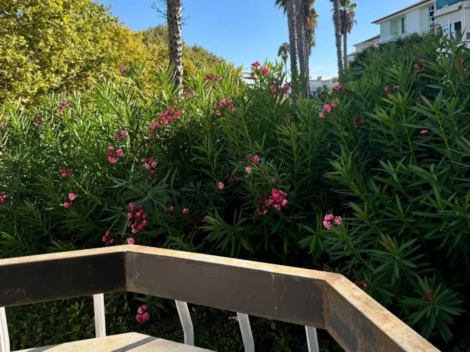 Apartamento T3 para Venda em Carcavelos e Parede Foto 14