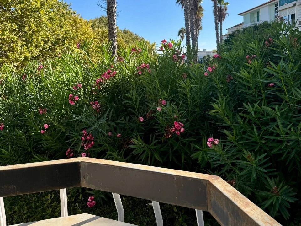 Apartamento T3 para Venda em Carcavelos e Parede Foto 14