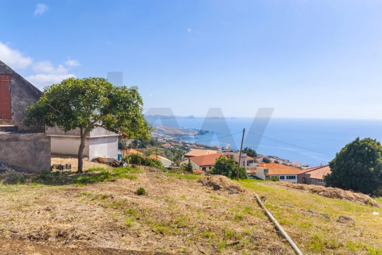Terreno para Venda em Gaula Foto 15