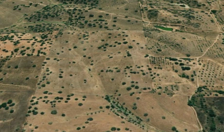 Terreno para Venda em Serpa (Salvador e Santa Maria)