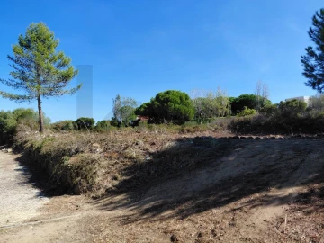 Terreno para Venda em Alcabideche