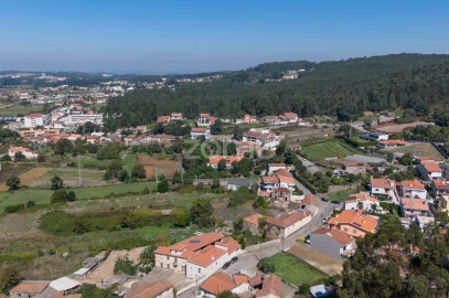 Terreno para Venda em São Pedro Fins
