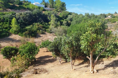 Terreno para Venda em Budens