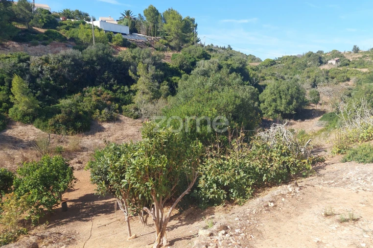 Terreno para Venda em Budens Foto 13