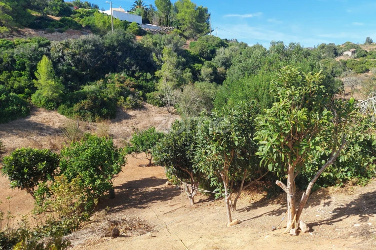 Terreno para Venda em Budens Foto 16
