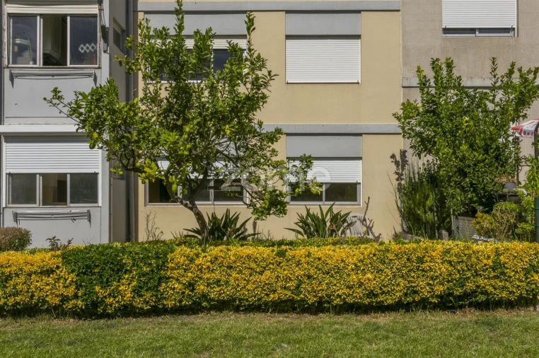 Apartamento T3 para Venda em Lordelo do Ouro e Massarelos Foto 22
