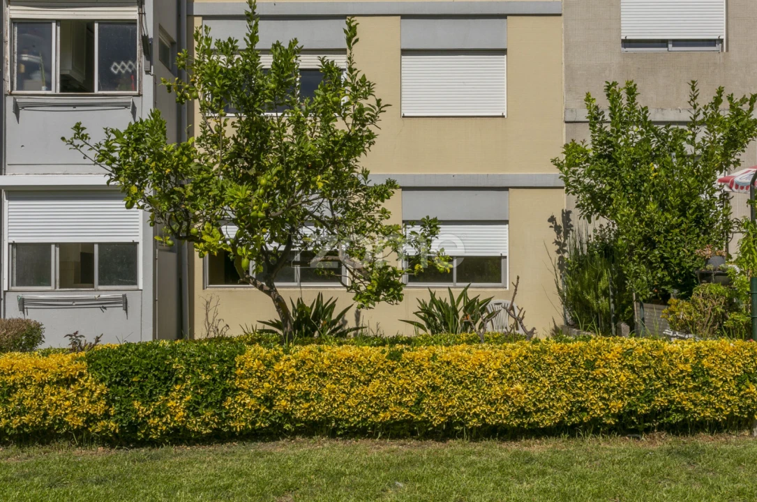 Apartamento T3 para Venda em Lordelo do Ouro e Massarelos Foto 22