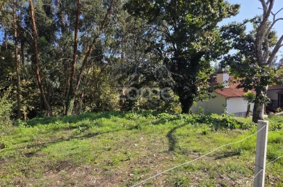 Terreno para Venda em Fornelos e Queijada