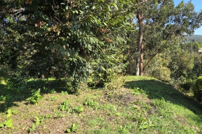 Terreno para Venda em Fornelos e Queijada