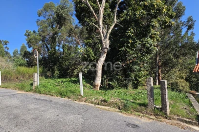 Terreno para Venda em Fornelos e Queijada