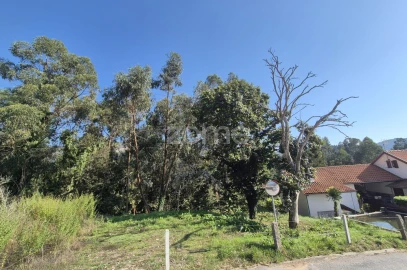 Terreno para Venda em Fornelos e Queijada