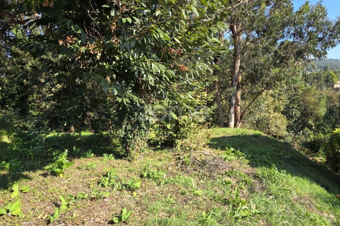 Terreno para Venda em Fornelos e Queijada Foto 6