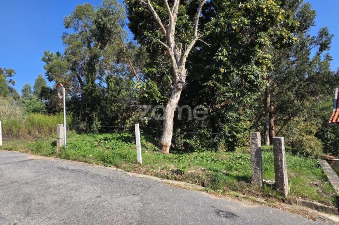 Terreno para Venda em Fornelos e Queijada Foto 5
