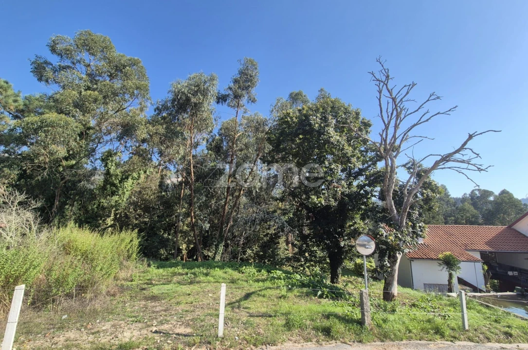 Terreno para Venda em Fornelos e Queijada Foto 3