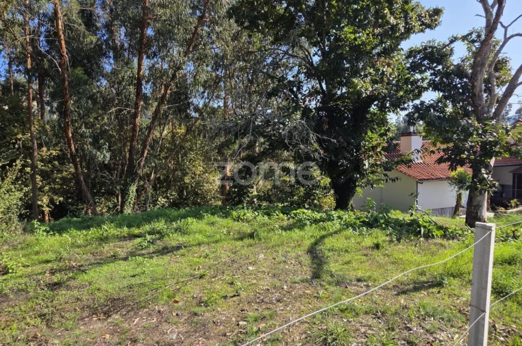 Terreno para Venda em Fornelos e Queijada Foto 9