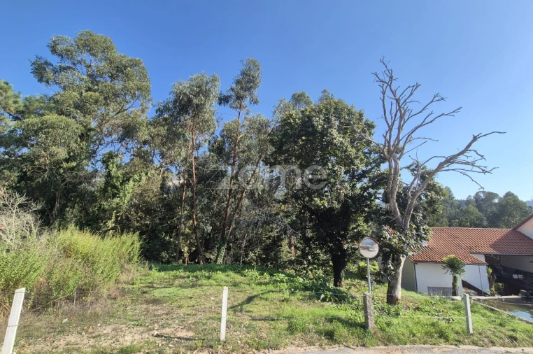 Terreno para Venda em Fornelos e Queijada Foto 3