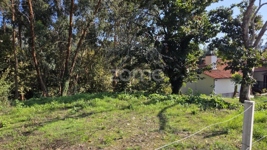 Terreno para Venda em Fornelos e Queijada