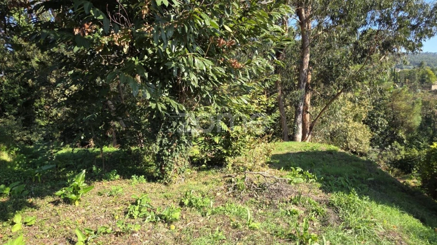 Terreno para Venda em Fornelos e Queijada