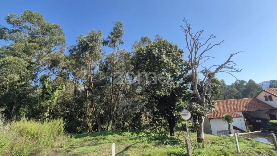 Terreno para Venda em Fornelos e Queijada