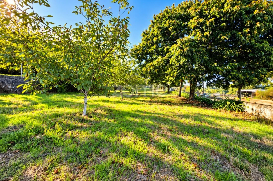 Terreno para Venda em Santo Tirso, Couto (Santa Cristina e São Miguel) e Burgães Foto 21