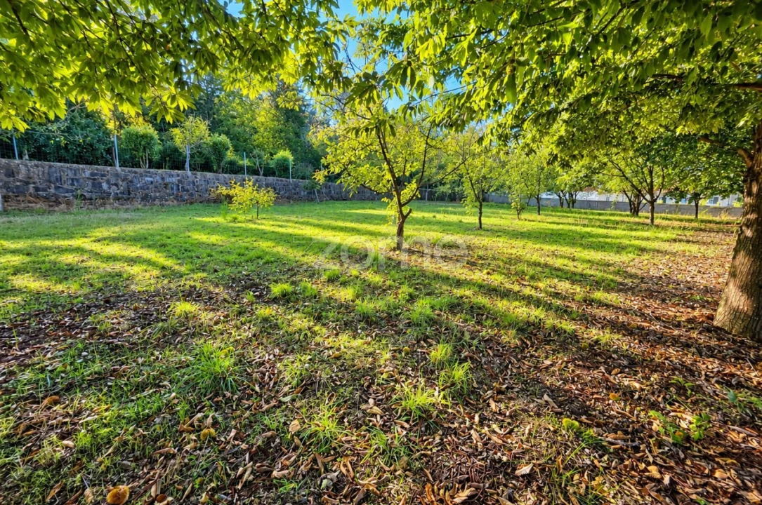 Terreno para Venda em Santo Tirso, Couto (Santa Cristina e São Miguel) e Burgães Foto 23