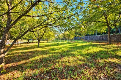 Terreno para Venda em Santo Tirso, Couto (Santa Cristina e São Miguel) e Burgães