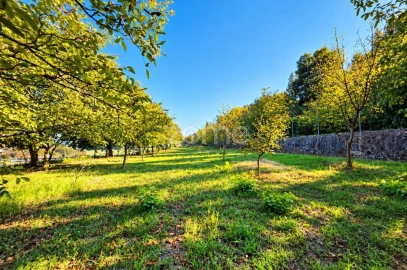 Terreno para Venda em Santo Tirso, Couto (Santa Cristina e São Miguel) e Burgães