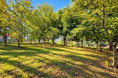 Terreno para Venda em Santo Tirso, Couto (Santa Cristina e São Miguel) e Burgães