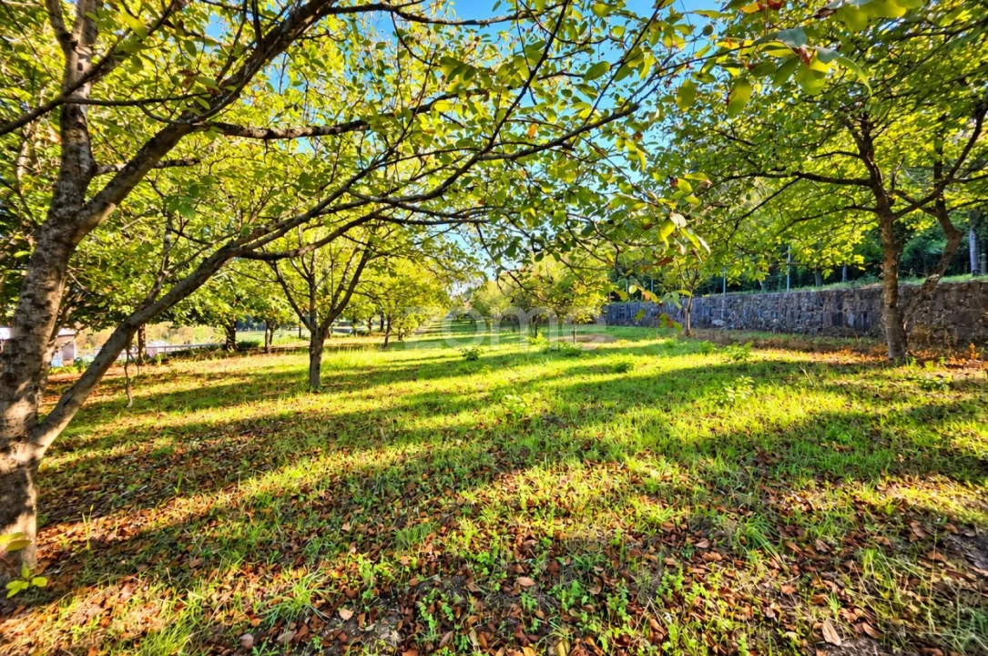 Terreno para Venda em Santo Tirso, Couto (Santa Cristina e São Miguel) e Burgães Foto 8