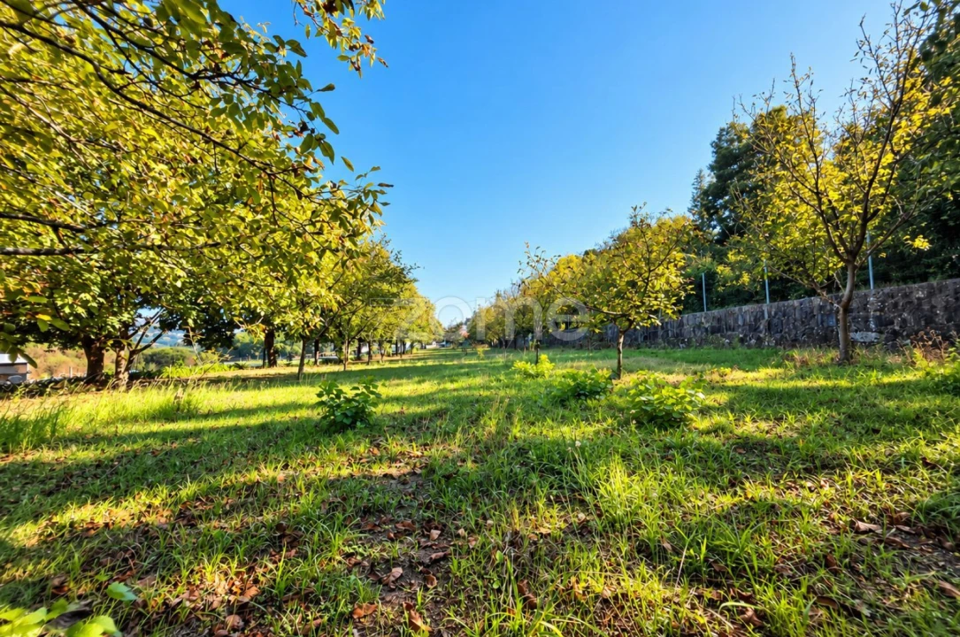 Terreno para Venda em Santo Tirso, Couto (Santa Cristina e São Miguel) e Burgães Foto 10