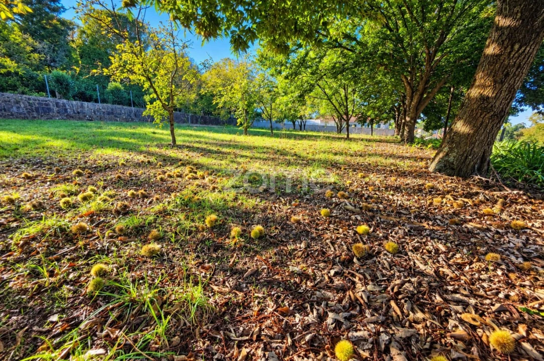 Terreno para Venda em Santo Tirso, Couto (Santa Cristina e São Miguel) e Burgães Foto 14