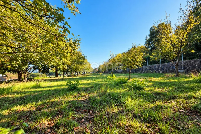 Terreno para Venda em Santo Tirso, Couto (Santa Cristina e São Miguel) e Burgães Foto 10