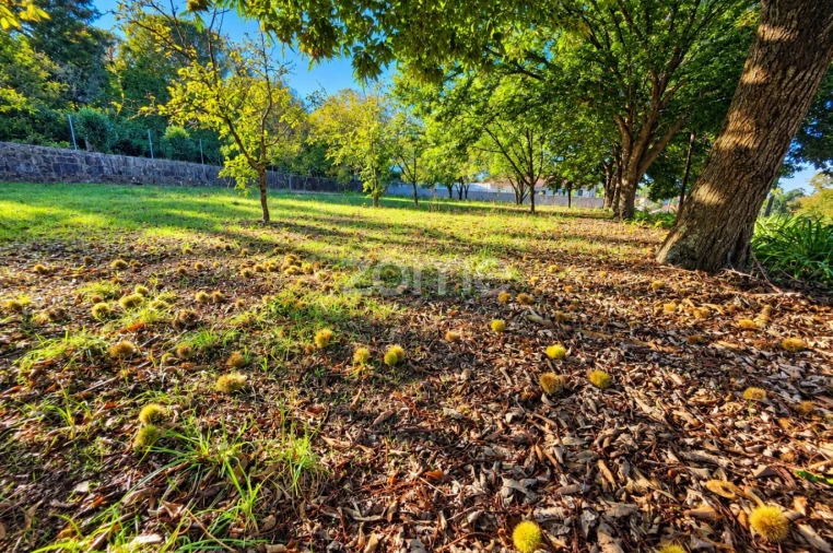 Terreno para Venda em Santo Tirso, Couto (Santa Cristina e São Miguel) e Burgães Foto 14