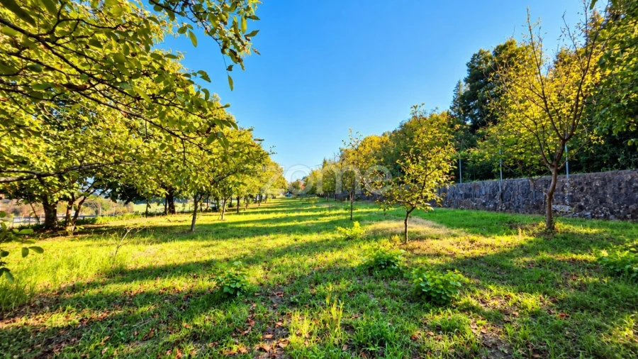 Terreno para Venda em Santo Tirso, Couto (Santa Cristina e São Miguel) e Burgães
