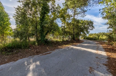 Terreno para Venda em Aljubarrota