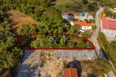 Terreno para Venda em Aljubarrota