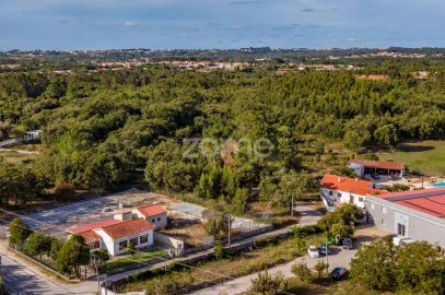 Terreno para Venda em Aljubarrota