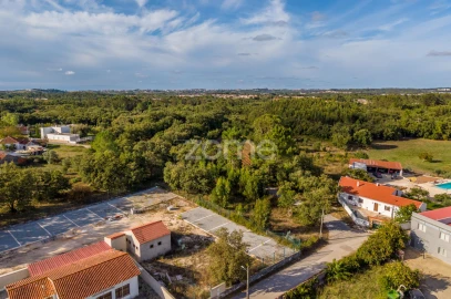Terreno para Venda em Aljubarrota