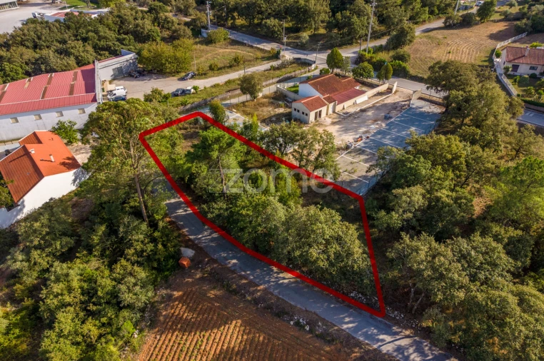 Terreno para Venda em Aljubarrota Foto 10