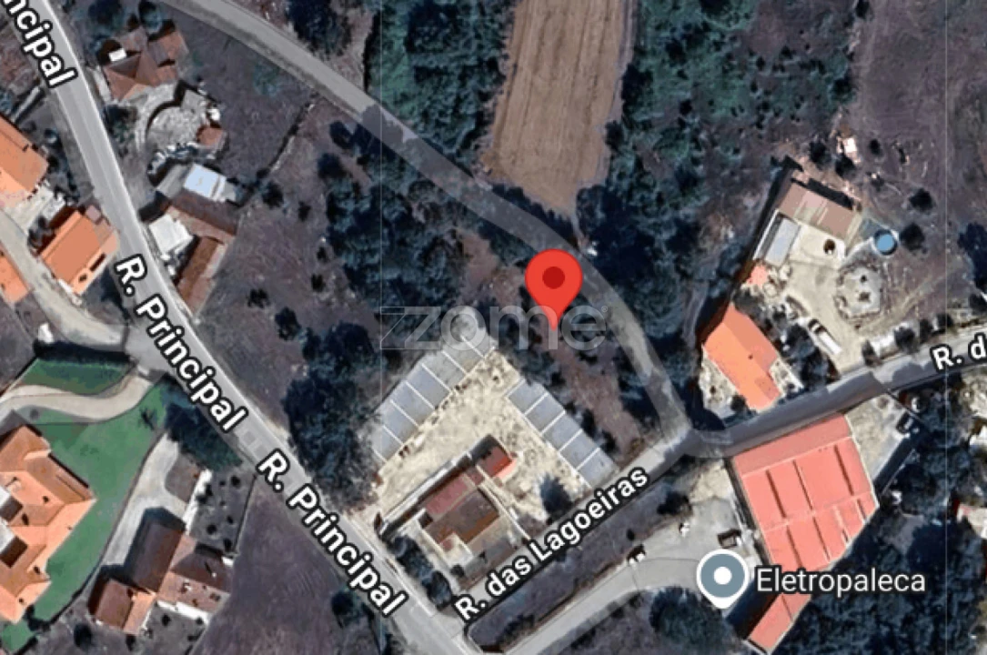 Terreno para Venda em Aljubarrota Foto 1