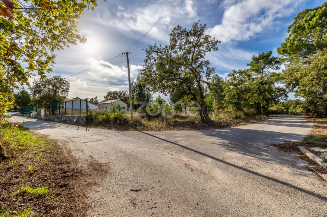 Terreno para Venda em Aljubarrota Foto 4