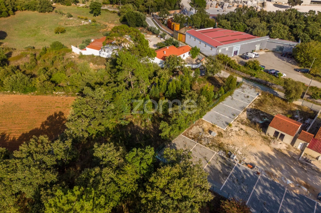 Terreno para Venda em Aljubarrota Foto 6